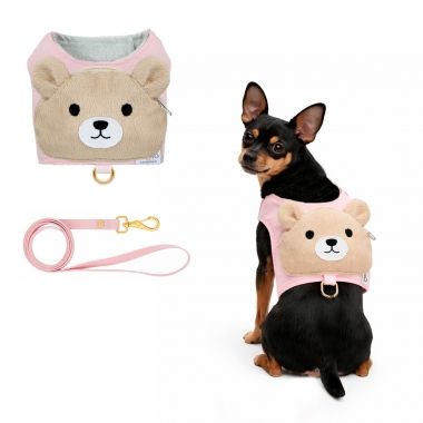 Pink Teddy Beckpack