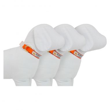 Combo Coleira Pescoo Seda Laranja