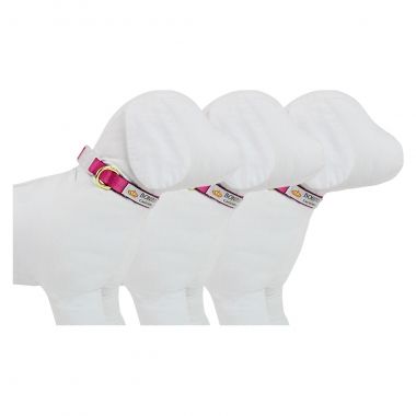 Combo Coleira Pescoo Seda Fcsia 