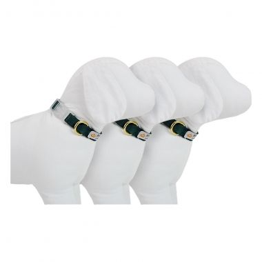 Combo Coleira Pescoo Seda Verde Escuro