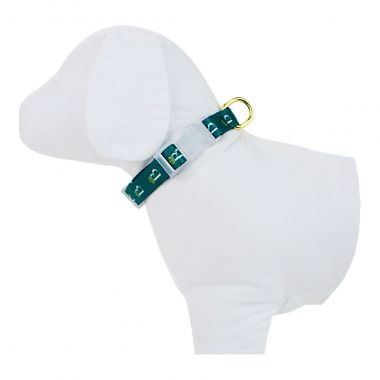 Coleira Pescoo Seda Estampada Logo Verde