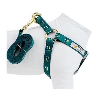 Peitoral Americano Seda Estampado Logo Verde