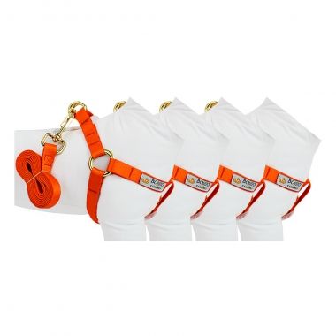 Combo Peitoral Americano Seda Laranja 