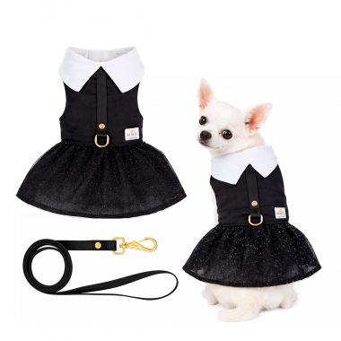 Halloween Dress
