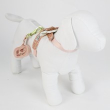 coleira para cachorro
