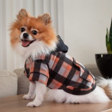 roupa de inverno para cachorro