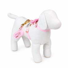 coleira para cachorro