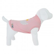 regata para pet