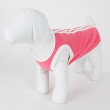 roupa para cachorro