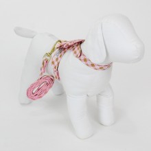 coleira para cachorro