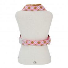 coleira para cachorro