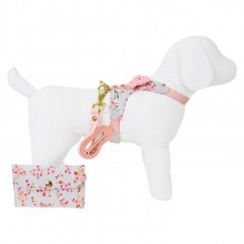 Coleira para Cachorro