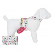 Coleira para Cachorro