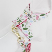 Coleira para Cachorro