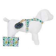 Coleira para Cachorro