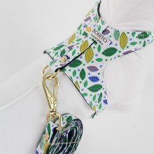 Coleira para Cachorro