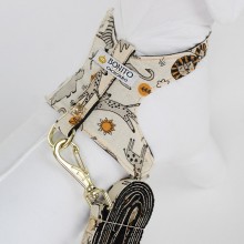 Coleira para Cachorro