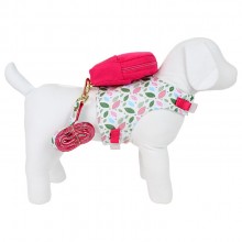 Colete com guia para cachorro