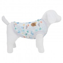 Roupa para Pet