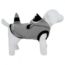 regata para pet