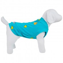 regata para pet