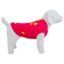 regata para pet