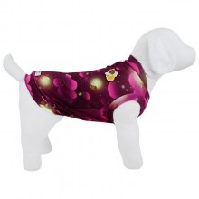 regata para pet