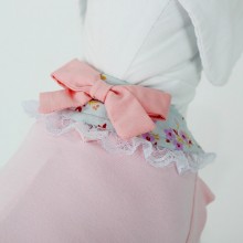 roupa para cachorro