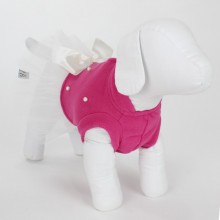 Vestido para pet
